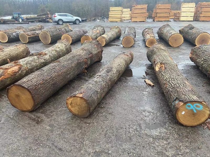 Chiny Dongguan Yinghui Wood Industry Co., Ltd. profil firmy