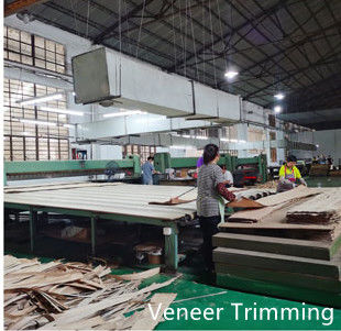 Dongguan Yinghui Wood Industry Co., Ltd. linia produkcyjna producenta