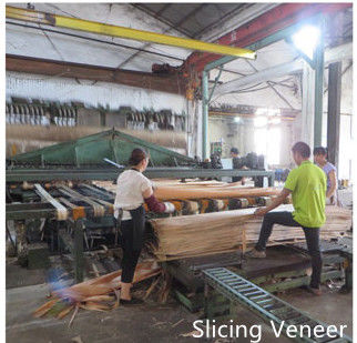 Dongguan Yinghui Wood Industry Co., Ltd. linia produkcyjna producenta